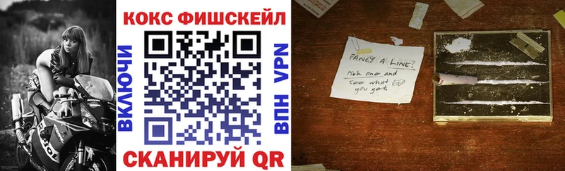 Купить закладки  Дятьково  COCAIN 98% 